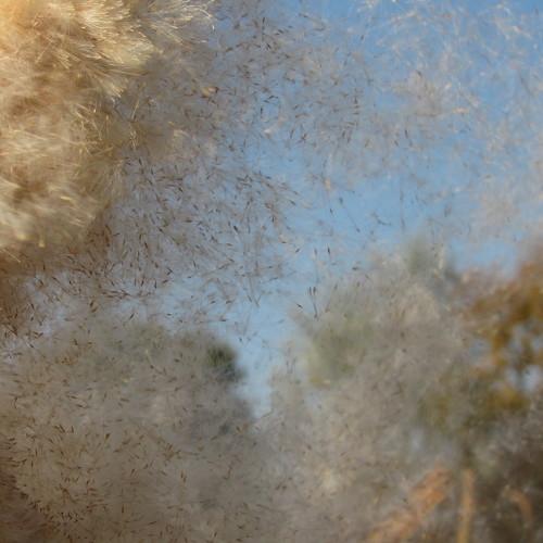 Photo #4454620