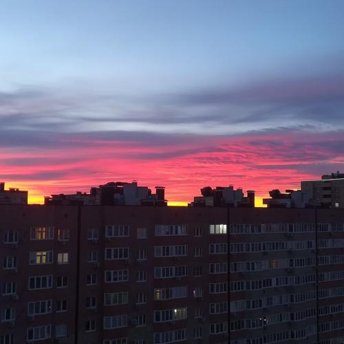 Photo #4455030