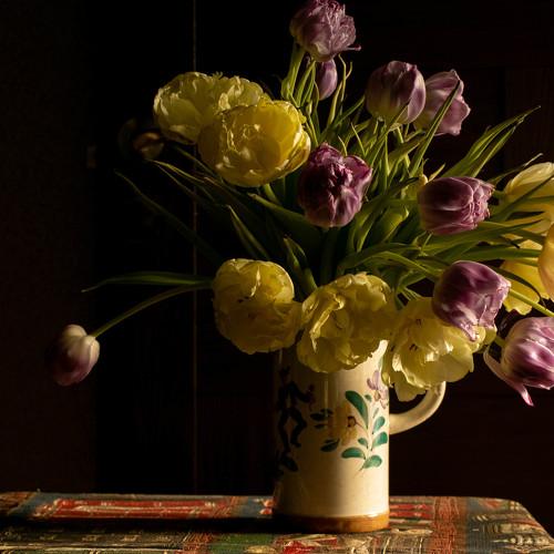 Photo #4455041