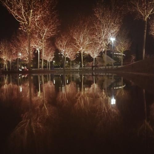 Photo #4455054