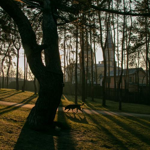 Photo #4455148