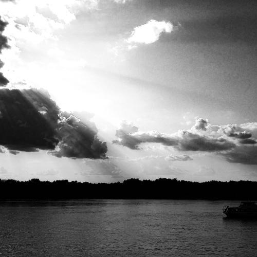 Photo #4455155
