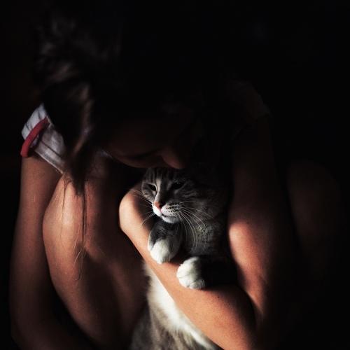 Photo #4455177