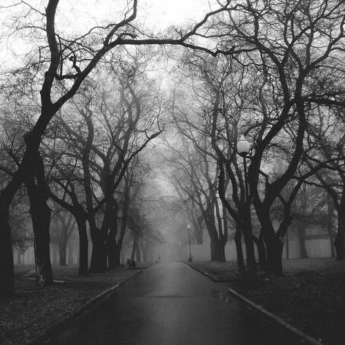 Photo #4455191
