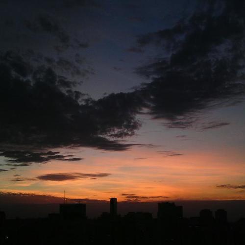 Photo #4455279