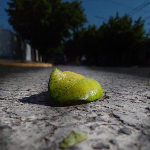 Photo #4455311