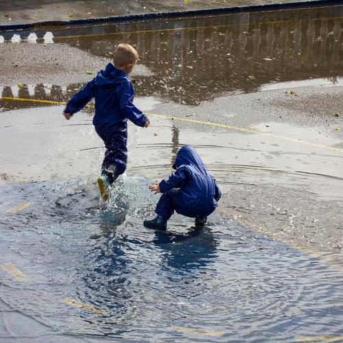 Photo #4455568