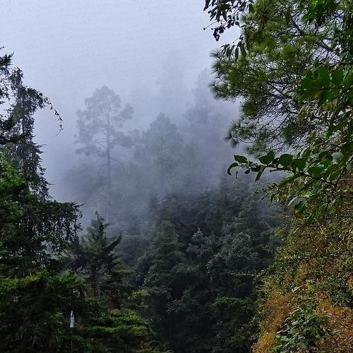 Mist-erious