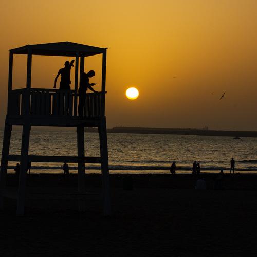 Photo #4455595
