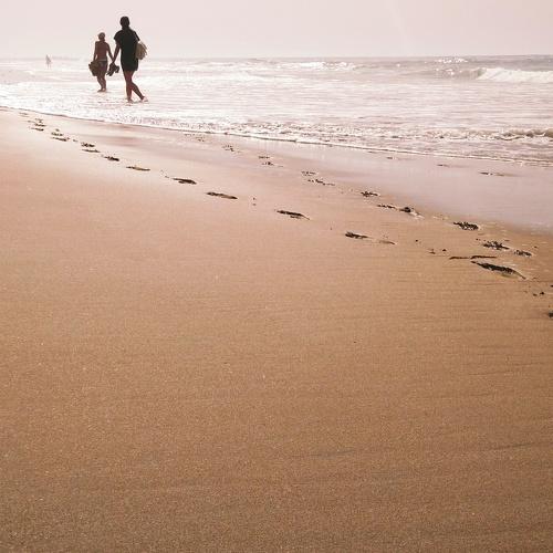 Photo #4455605