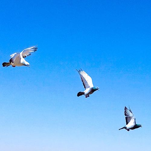 Photo #4455657