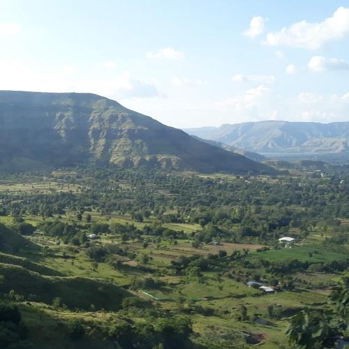 Photo #4455916