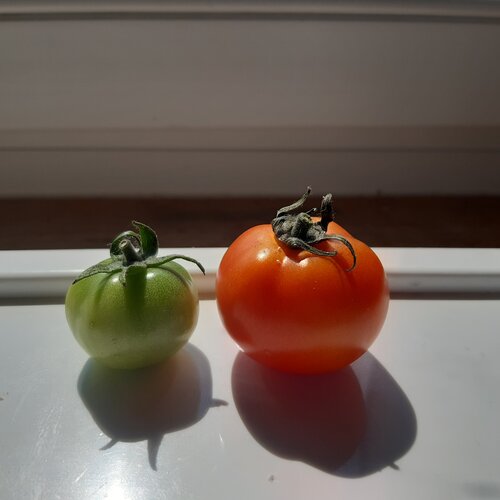 Photo #4456025