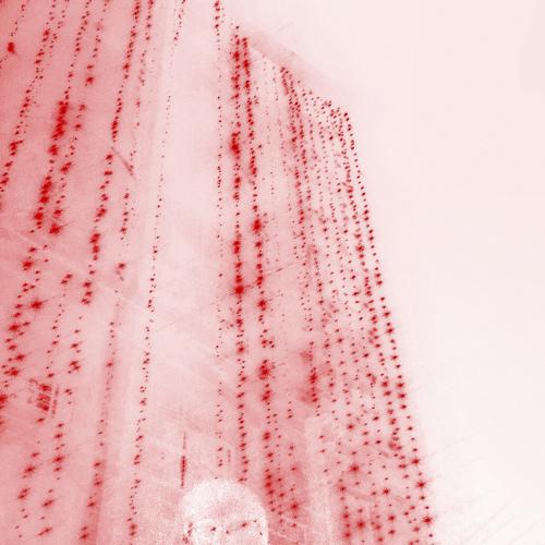 Photo #4456082
