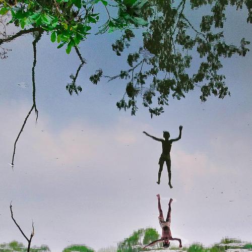 Photo #4456105