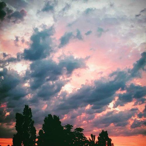 Photo #4456142