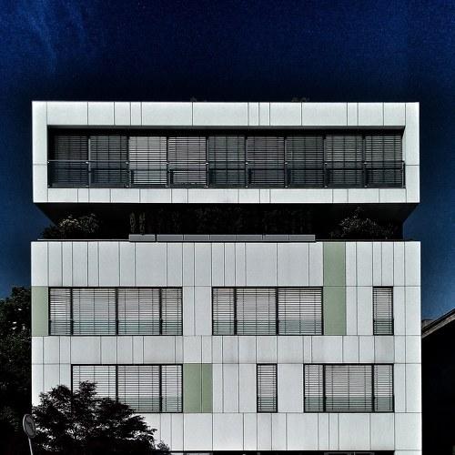 Photo #4456208