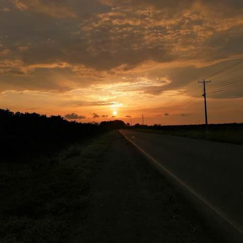 Photo #4456223