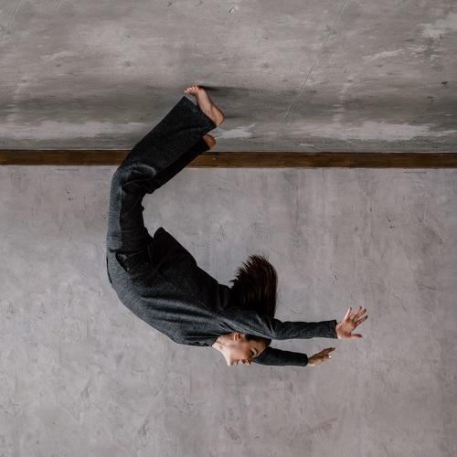 Photo #4456264