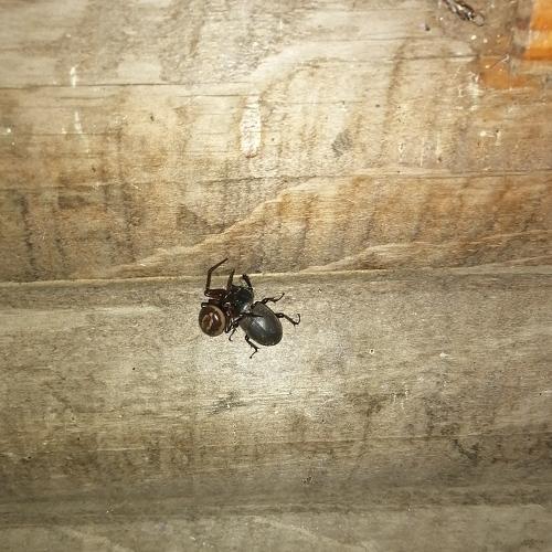 Photo #4456455