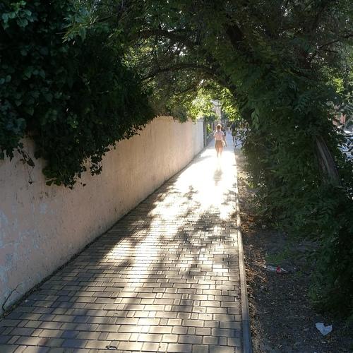 Photo #4456493