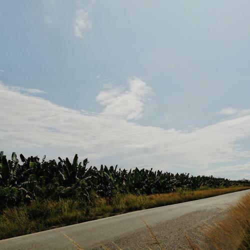 Carretera