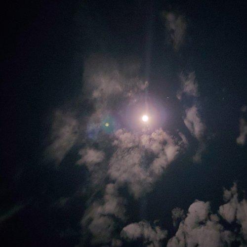 Night shine