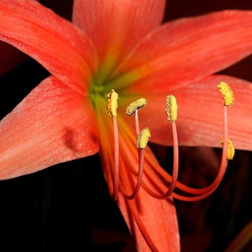 Photo #4456806