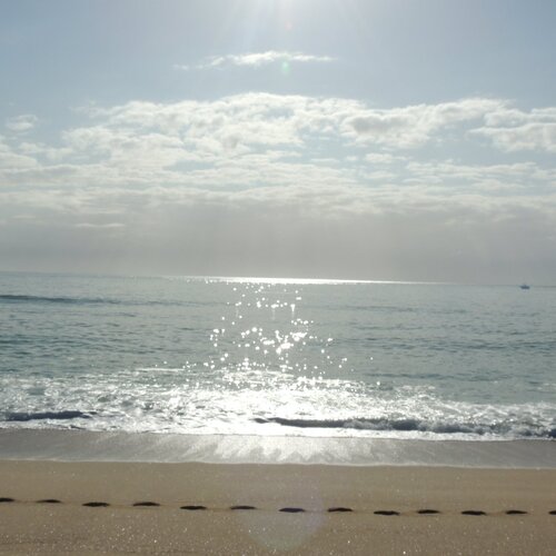 Photo #4456967