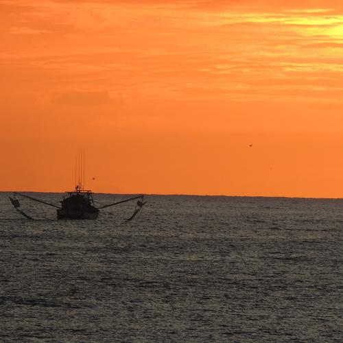 Photo #4456970