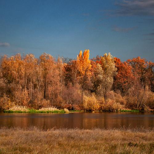 Рыжая осень