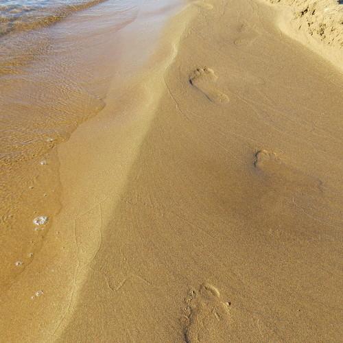 Photo #4457342