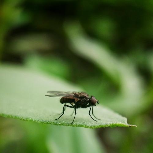 Photo #4457449