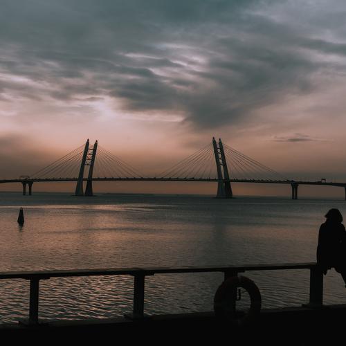 Photo #4457571