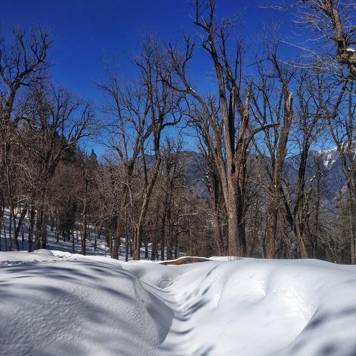 Photo #4457698