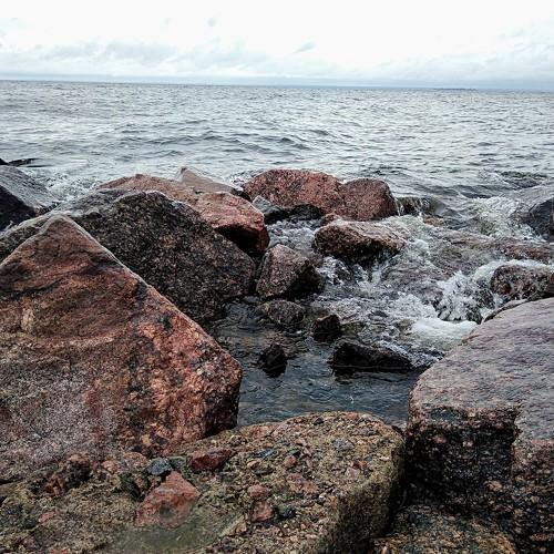 Photo #4457865