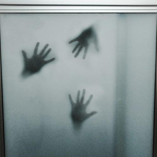 Photo #4457947