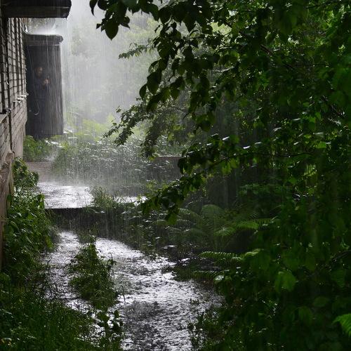 Летний ливень.