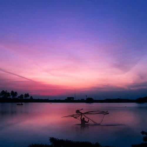 Photo #4458540