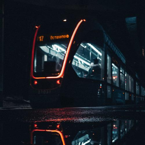 Photo #4458552