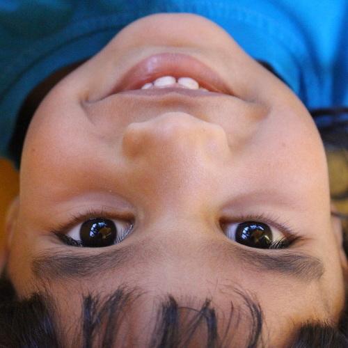 Photo #4458573