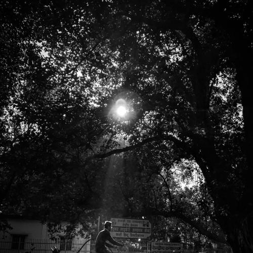 Photo #4458584