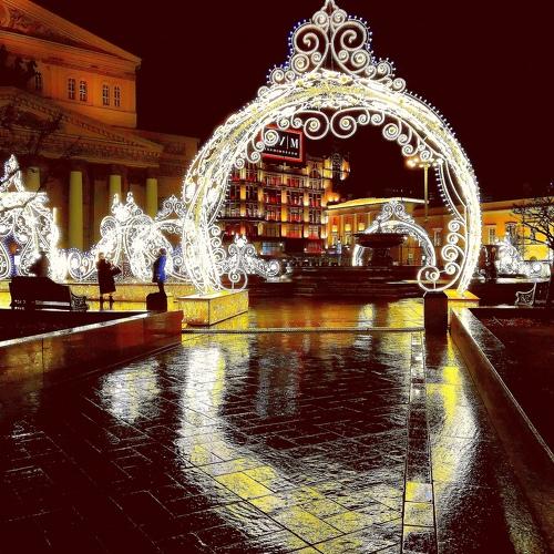 Photo #4458627