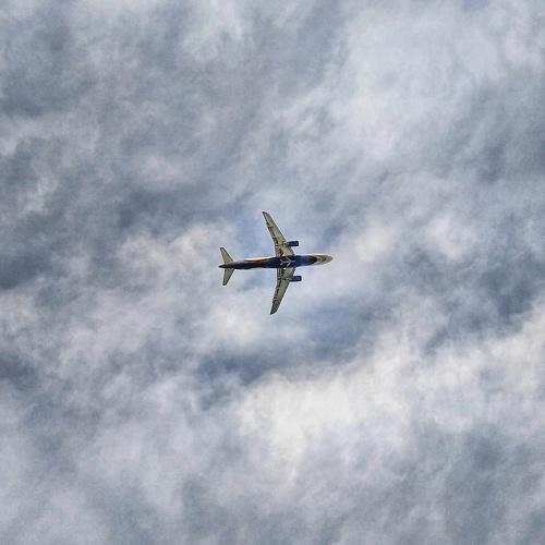Photo #4459528