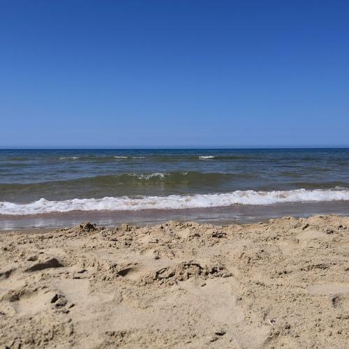 Photo #4460197