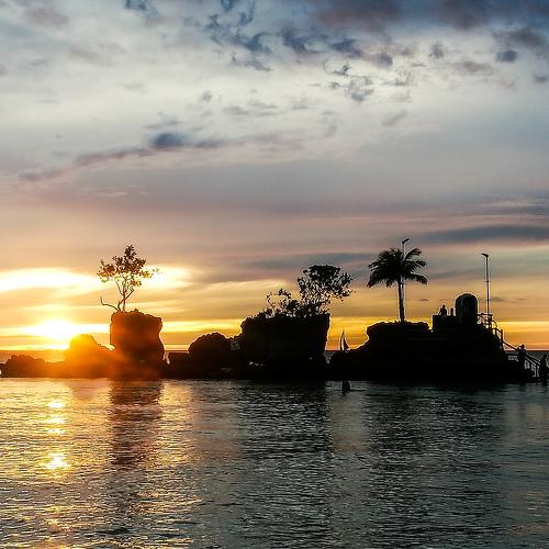 Photo #4460392