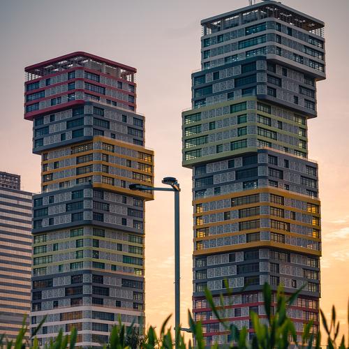 Photo #4460505