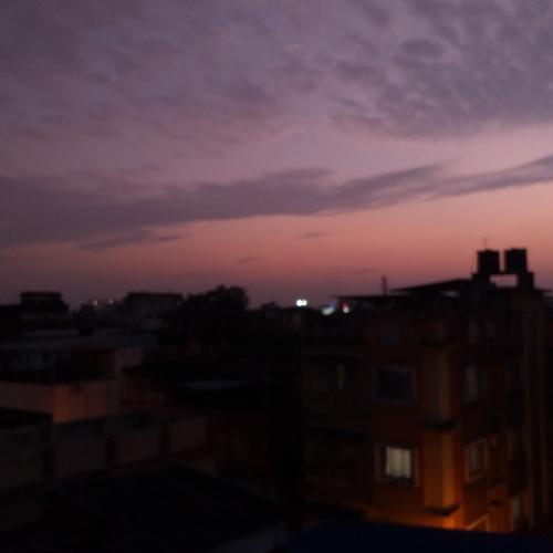 Photo #4460588