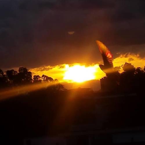 Atardecer caraqueño