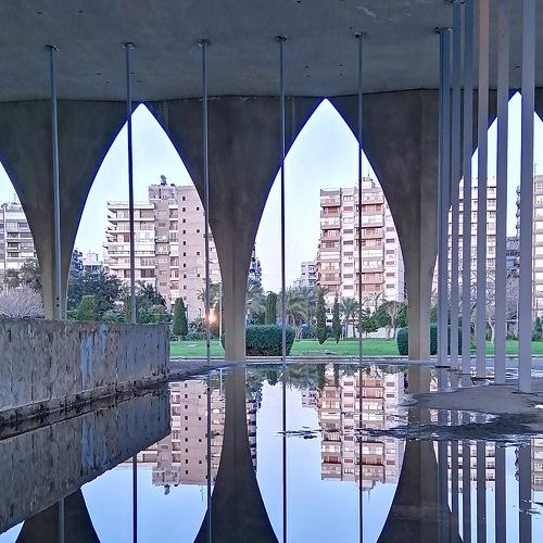 Photo #4461459